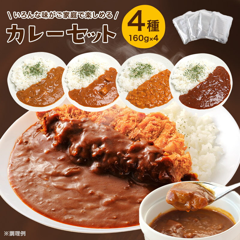 レビュー★4.50 送料無料 ＿食べ比べ！カレー詰め合わせセット＿（4種）　 お試しセット カレー 即席 調理 簡単 レトルトカレー ビーフ スパイスカレー スパイス レトルト カレーライス 4袋入 国産 時短